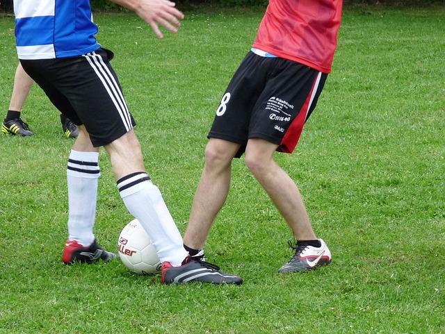 火箭队目前 火箭队目前