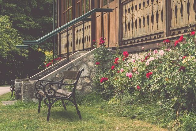 省港杯赛场 省港杯赛场