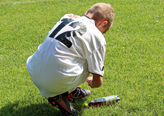 参与的积极 参与的积极