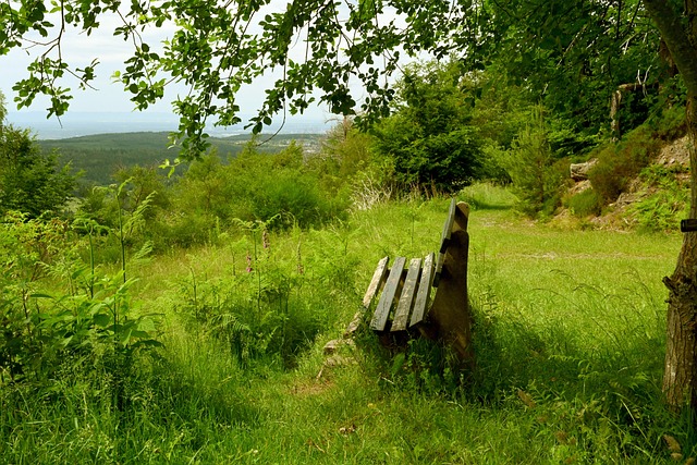 激情依旧 激情依旧
